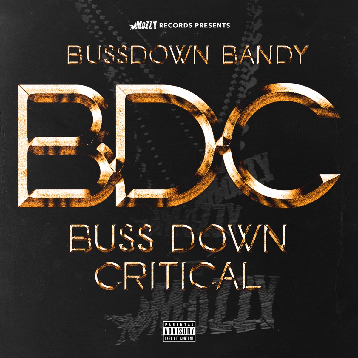 BussDown Bandy - Bussdown Critical BDC