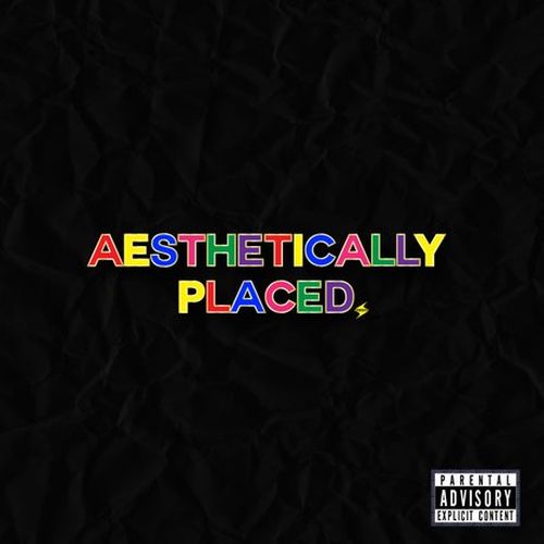 Dave Steezy – Aesthetically Placed