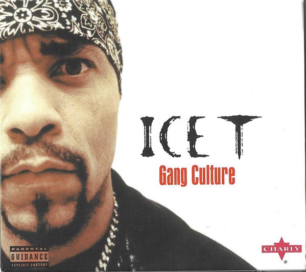 Ice-T – Gang Culture
