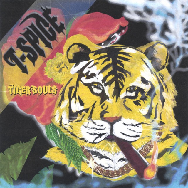T-Spice – Tiger Souls