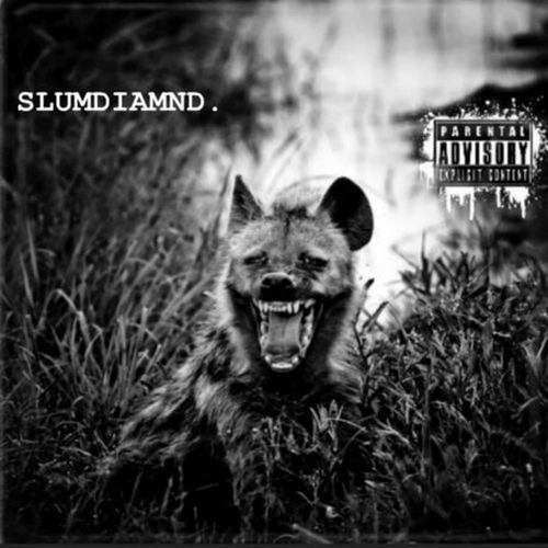 Various – SlumDiamnD