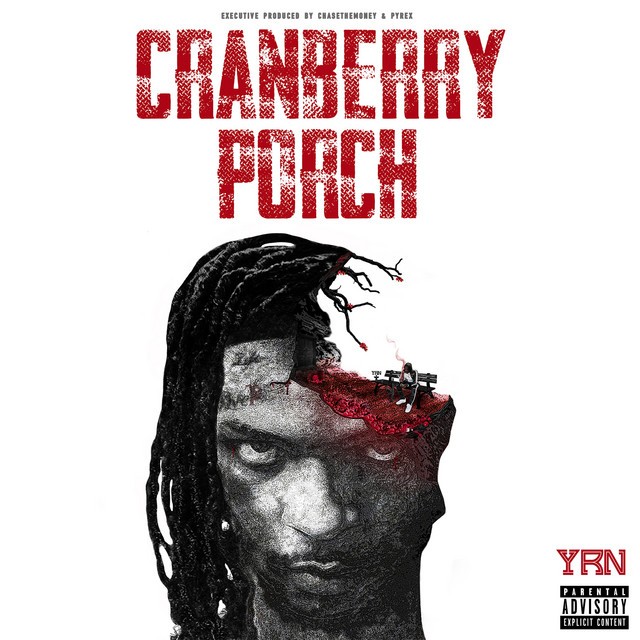 YRN Murk - Cranberry Porch